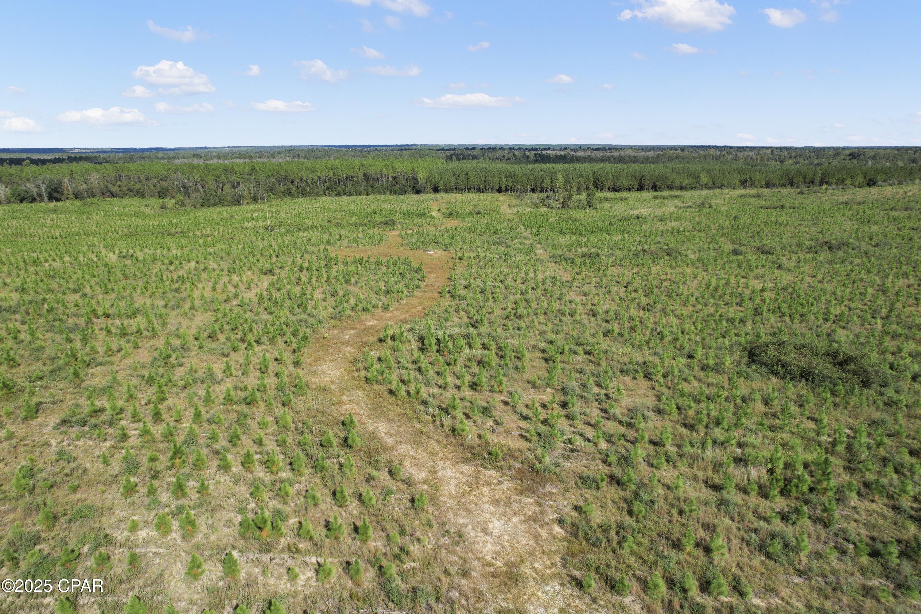 0 Northwest Cr-73a Altha, FL 32421 - Photo 11 of 14