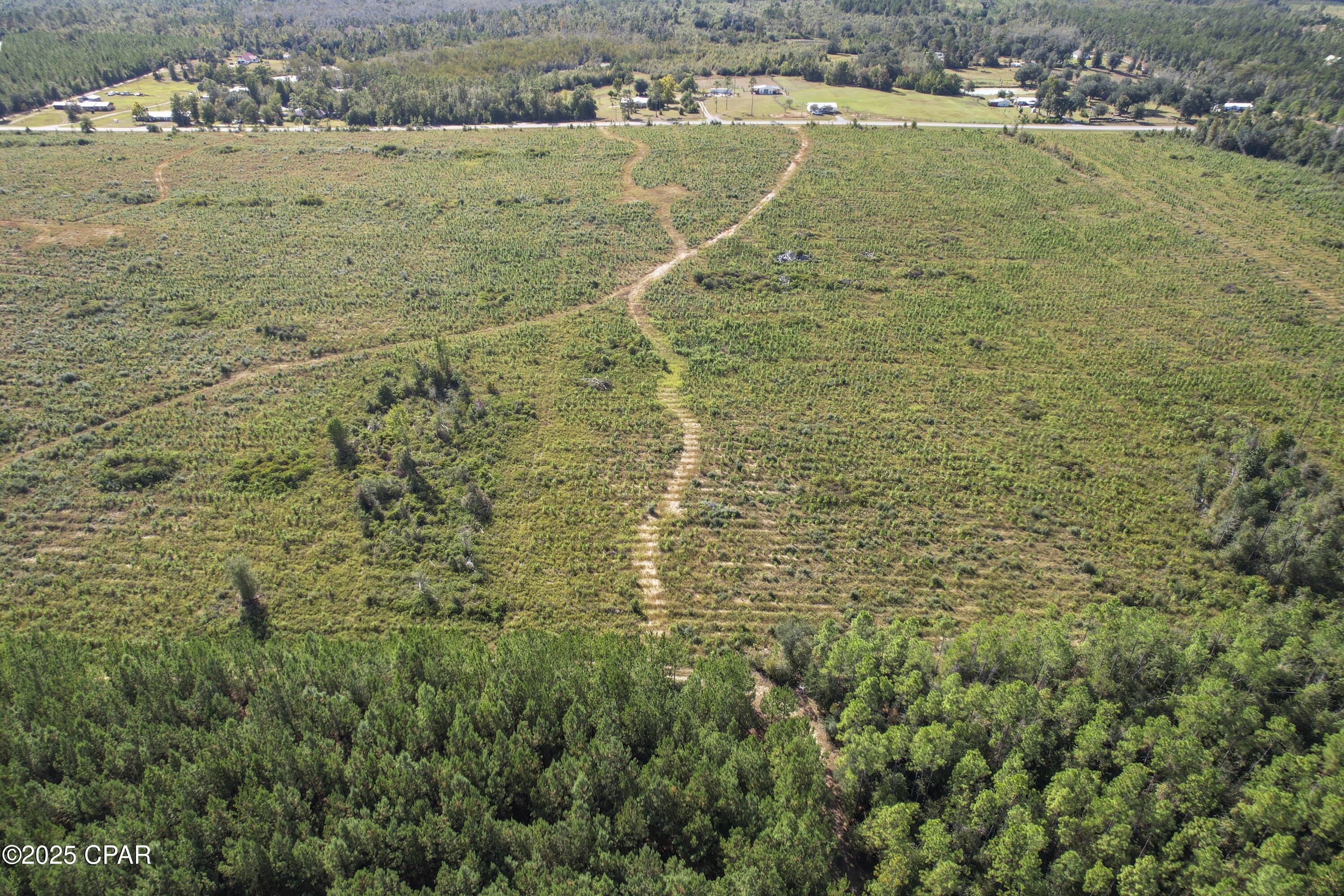 0 Northwest Cr-73a Altha, FL 32421 - Photo 12 of 14