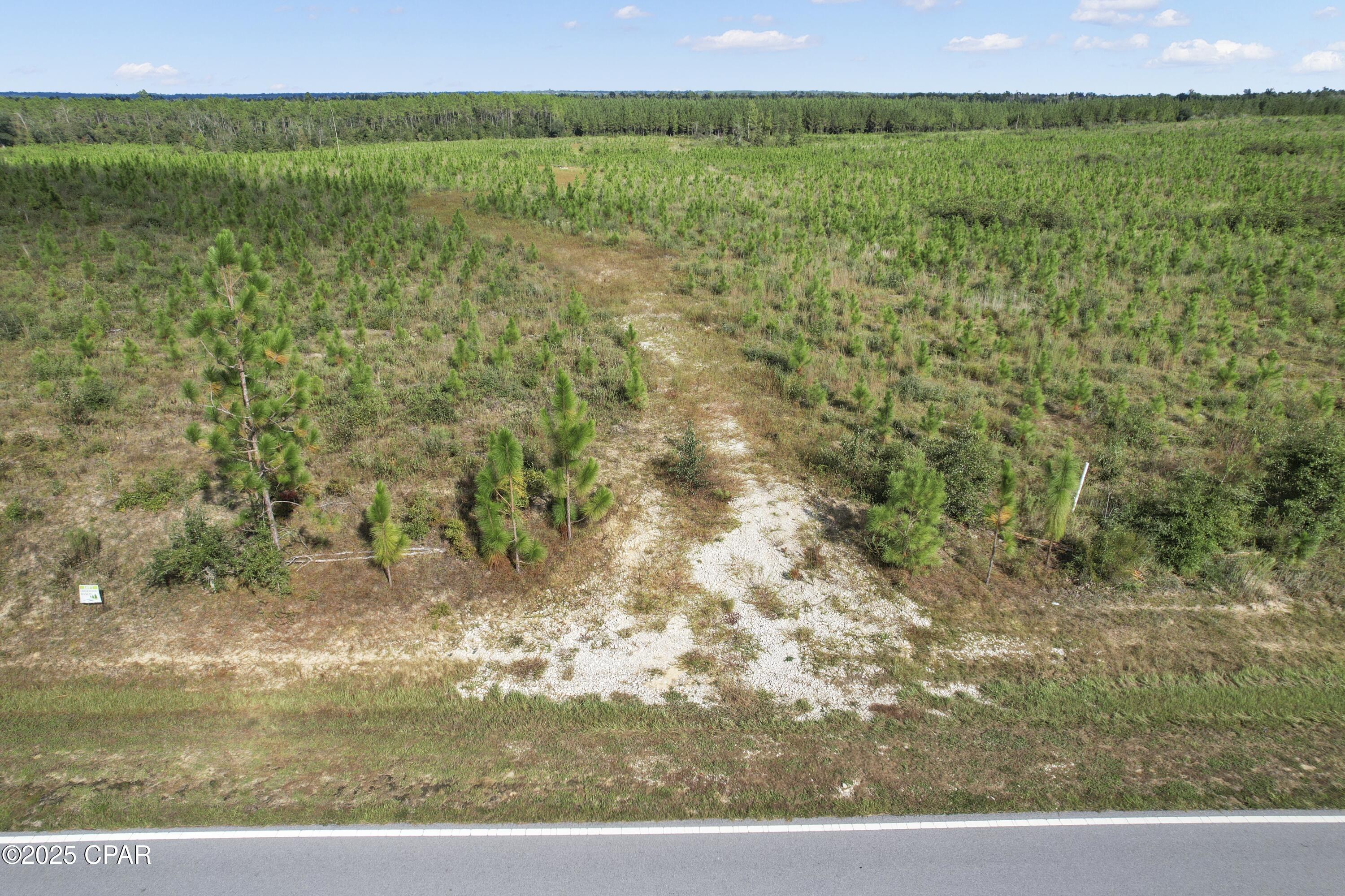 0 Northwest Cr-73a Altha, FL 32421 - Photo 14 of 14