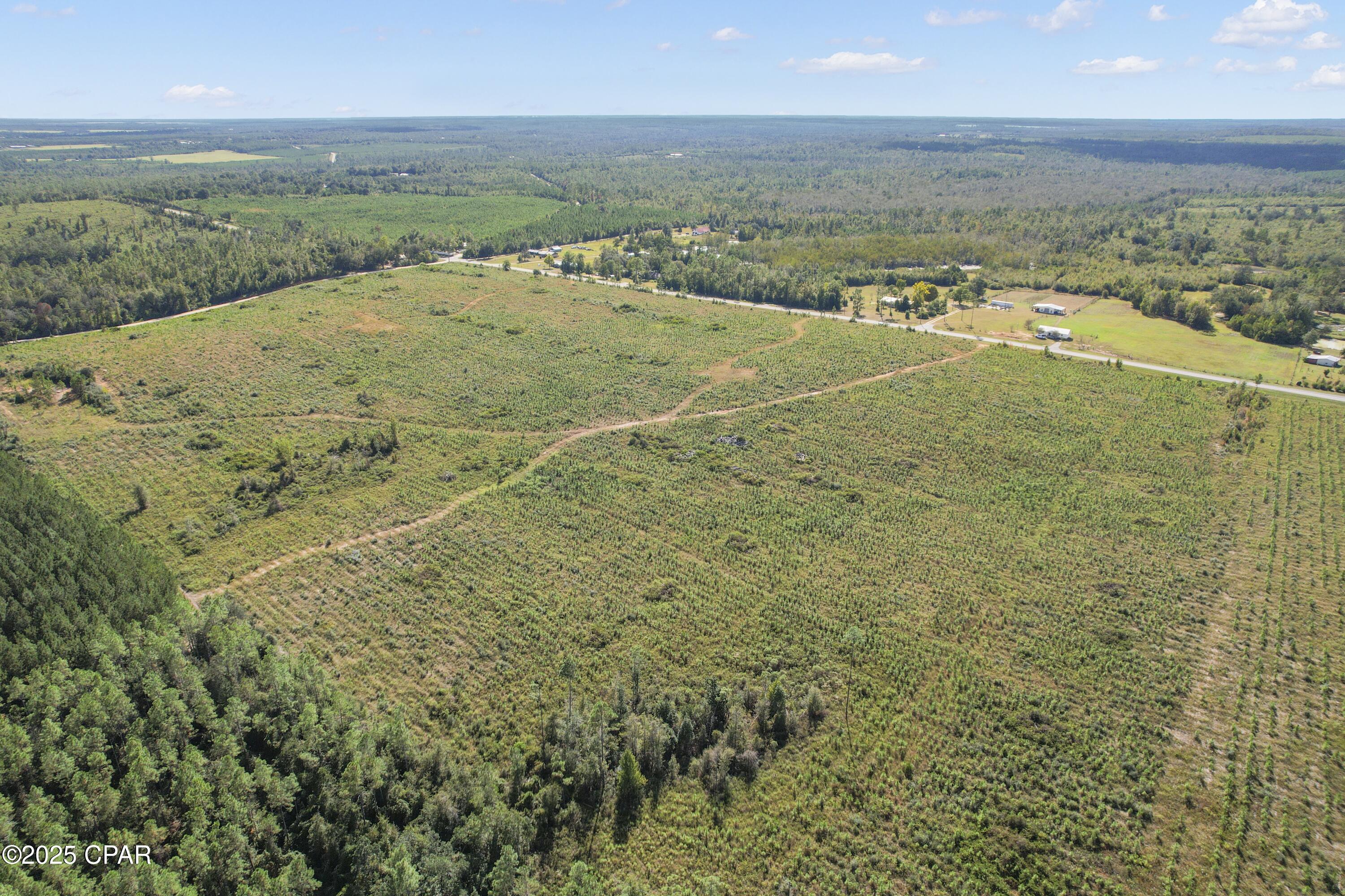 0 Northwest Cr-73a Altha, FL 32421 - Photo 4 of 14