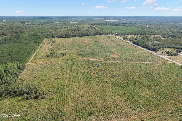 $70,000 | 0 Northwest Cr-73a, Altha, FL 32421