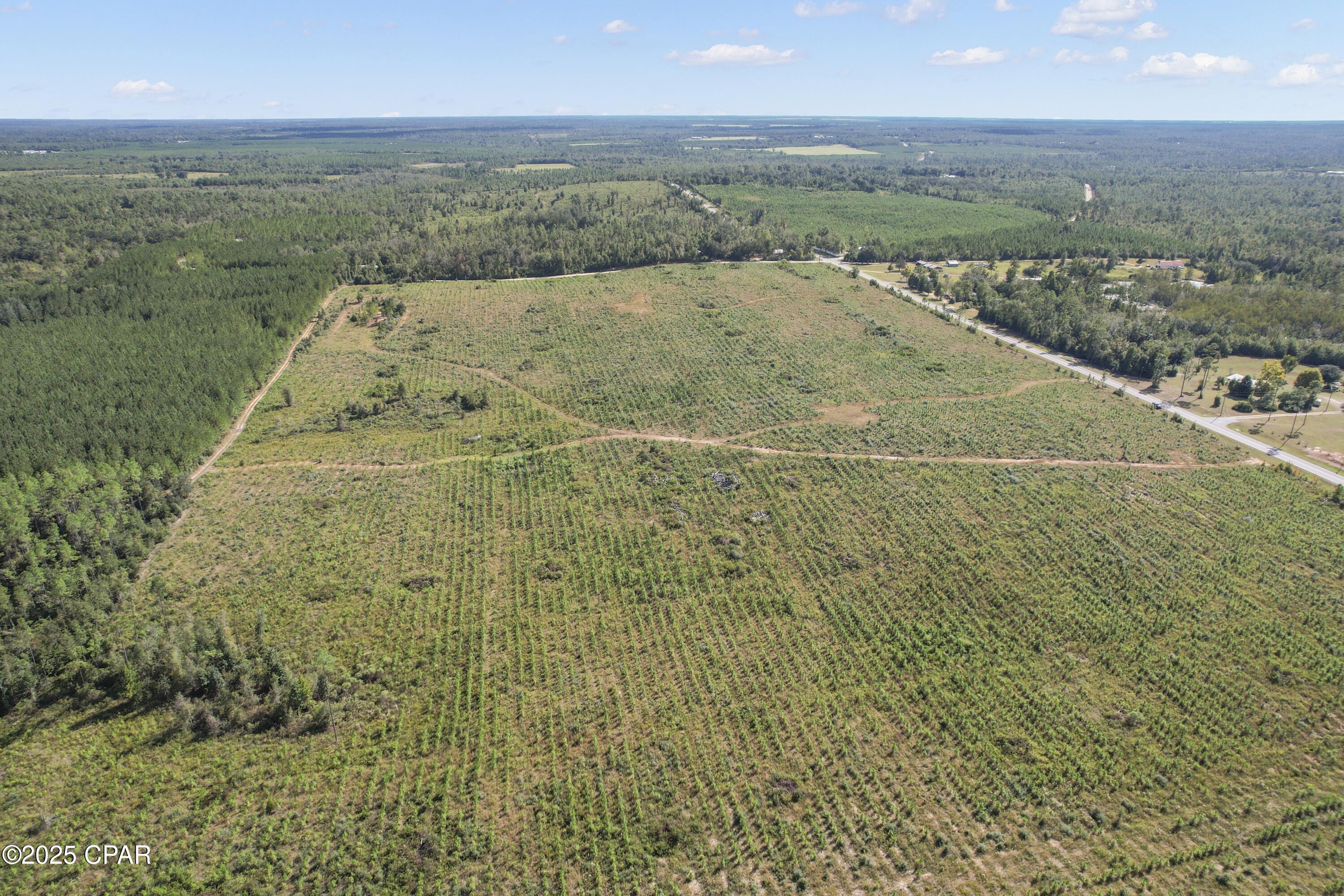 0 Northwest Cr-73a Altha, FL 32421 - Photo 5 of 14