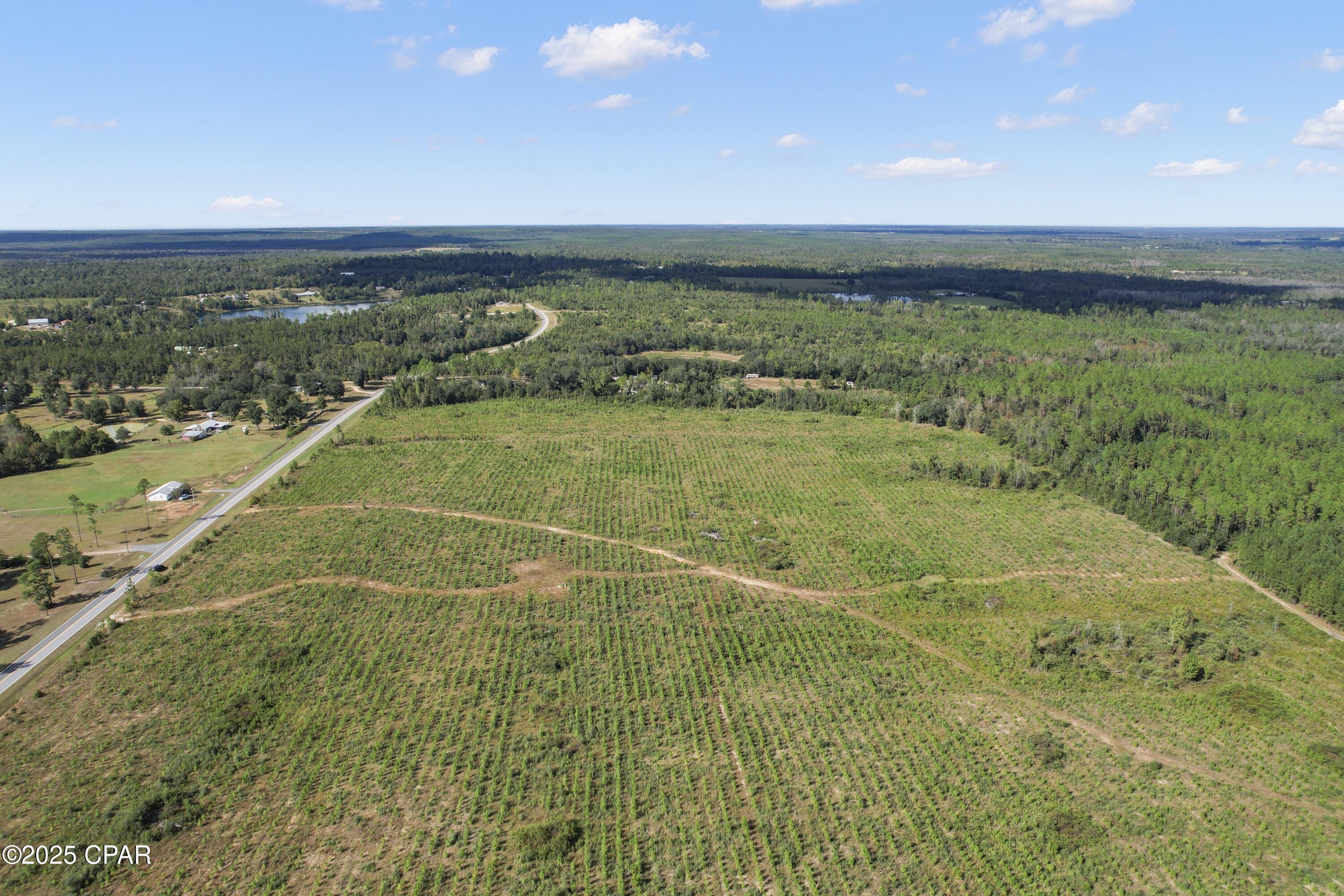 0 Northwest Cr-73a Altha, FL 32421 - Photo 10 of 14