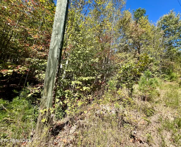 $75,000 | 20.15 Creek Hollow Way, Sevierville, TN 37876