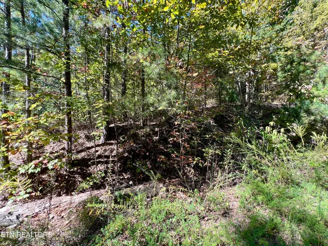 $75,000 | 20.15 Creek Hollow Way, Sevierville, TN 37876