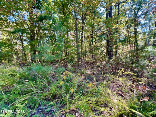 $75,000 | 20.15 Creek Hollow Way, Sevierville, TN 37876