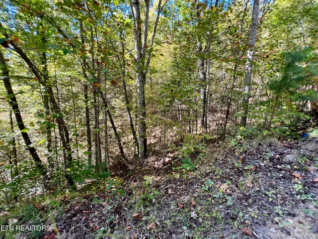 $75,000 | 20.15 Creek Hollow Way, Sevierville, TN 37876