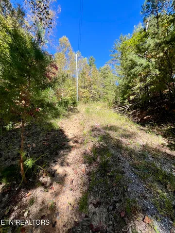 $75,000 | 20.15 Creek Hollow Way, Sevierville, TN 37876