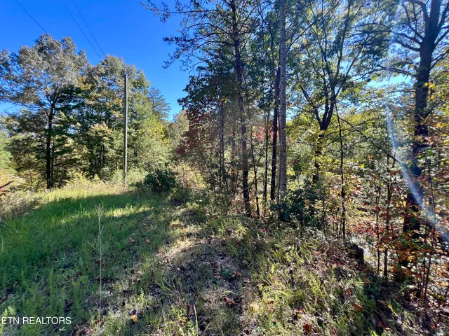 $75,000 | 20.15 Creek Hollow Way, Sevierville, TN 37876