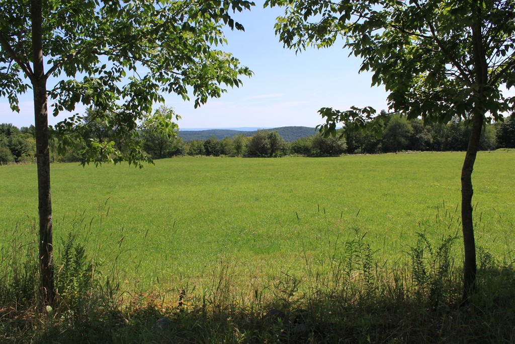 Lot 4 Apple Valley Road Ashfield, MA 01330 - Photo 1 of 16