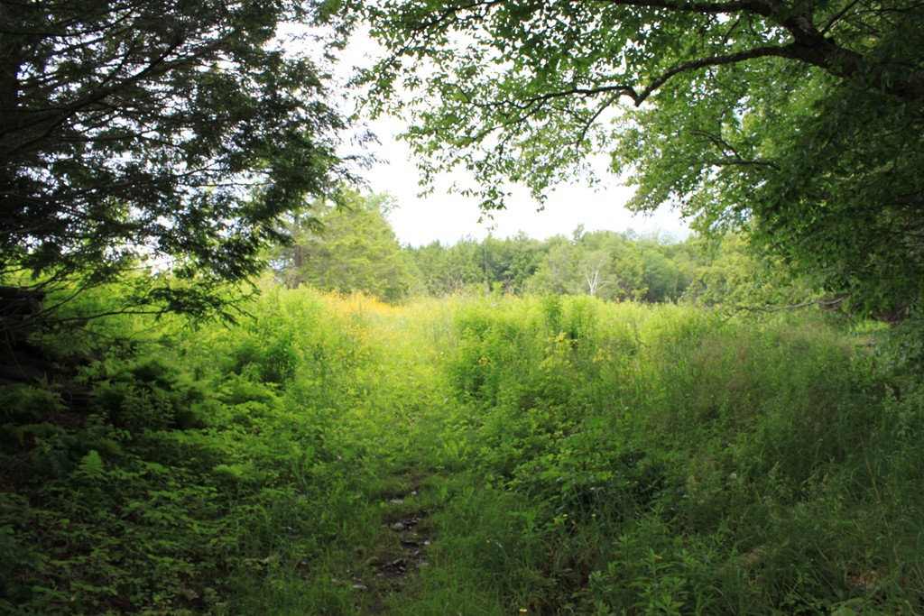 Lot 4 Apple Valley Road Ashfield, MA 01330 - Photo 14 of 16