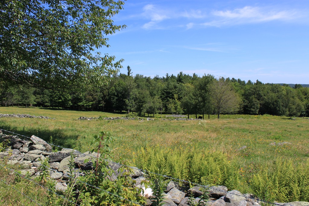 Lot 4 Apple Valley Road Ashfield, MA 01330 - Photo 4 of 16