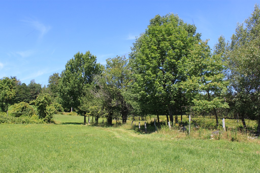 Lot 4 Apple Valley Road Ashfield, MA 01330 - Photo 6 of 16