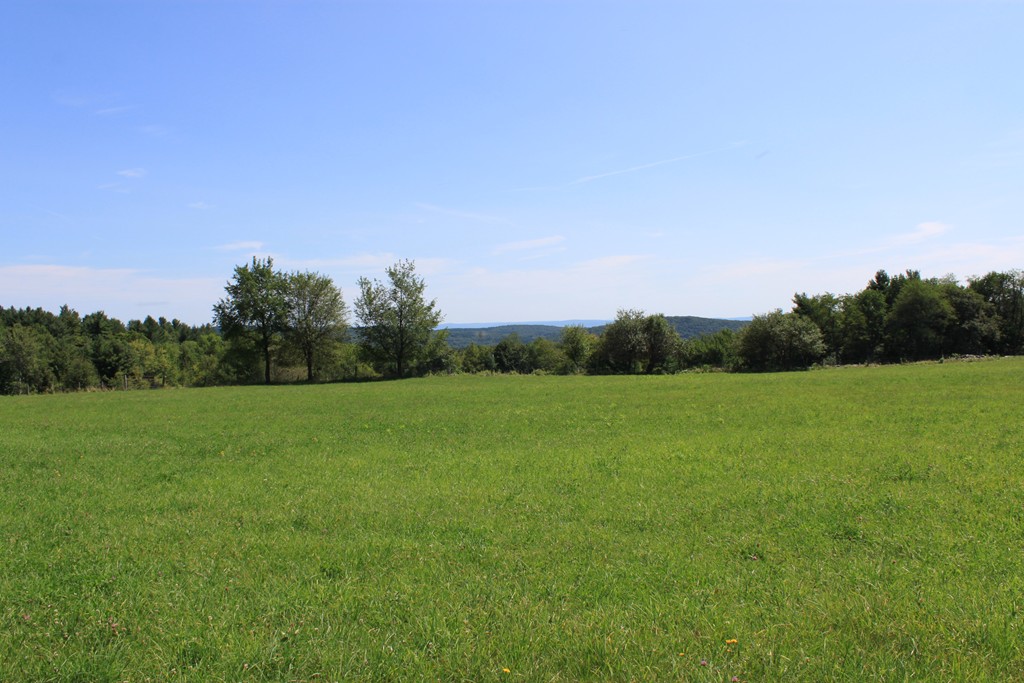 Lot 4 Apple Valley Road Ashfield, MA 01330 - Photo 7 of 16
