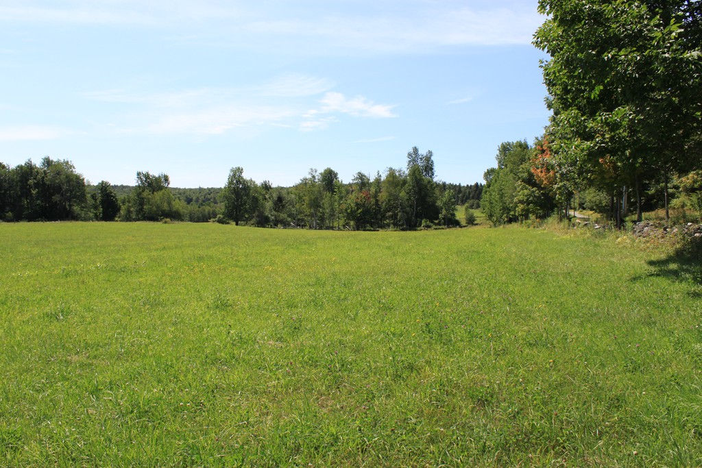 Lot 4 Apple Valley Road Ashfield, MA 01330 - Photo 8 of 16
