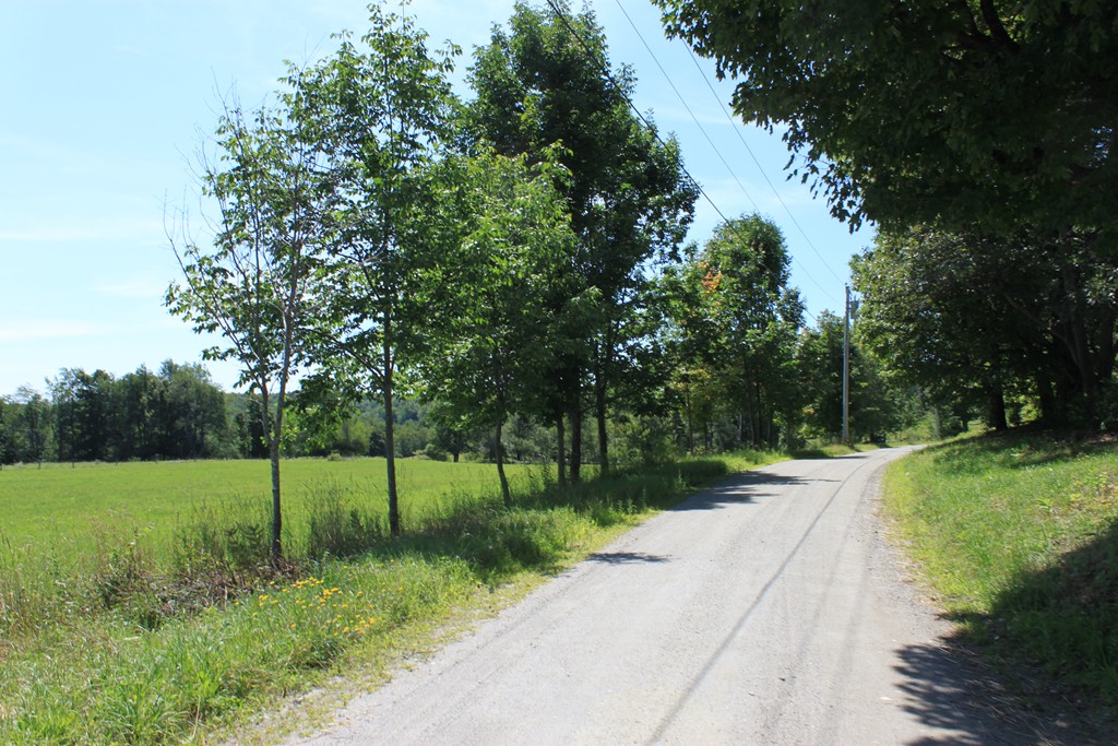 Lot 4 Apple Valley Road Ashfield, MA 01330 - Photo 9 of 16