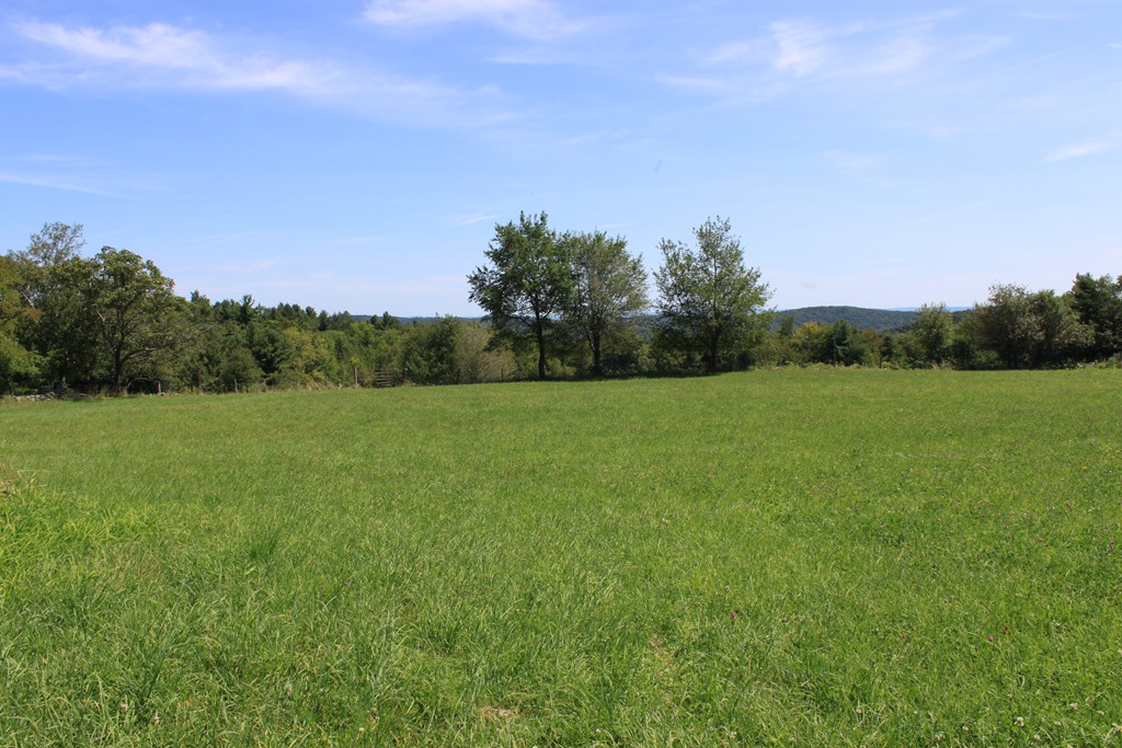 Lot 4 Apple Valley Road Ashfield, MA 01330 - Photo 10 of 16