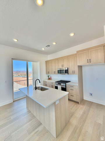 915 West Gold Ridge Ln Street St. George, UT 84790 - Photo 5 of 30 Modern kitchen featuring a central island with an undermount sink and black faucet, light wood-finish cabinetry, stainless steel appliances, and light-toned flooring