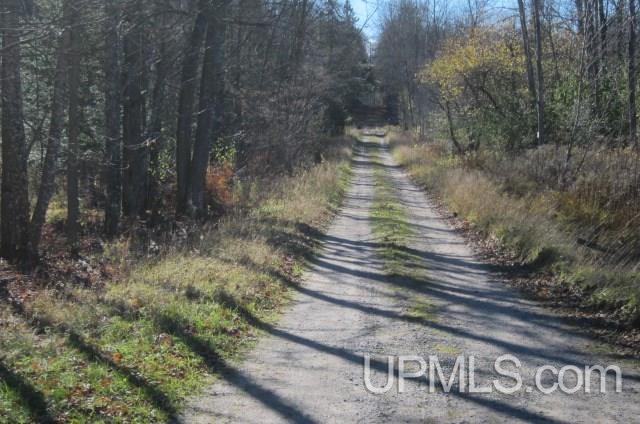 Tbd Byzcek Road Iron River, MI 49935 - Photo 4 of 11