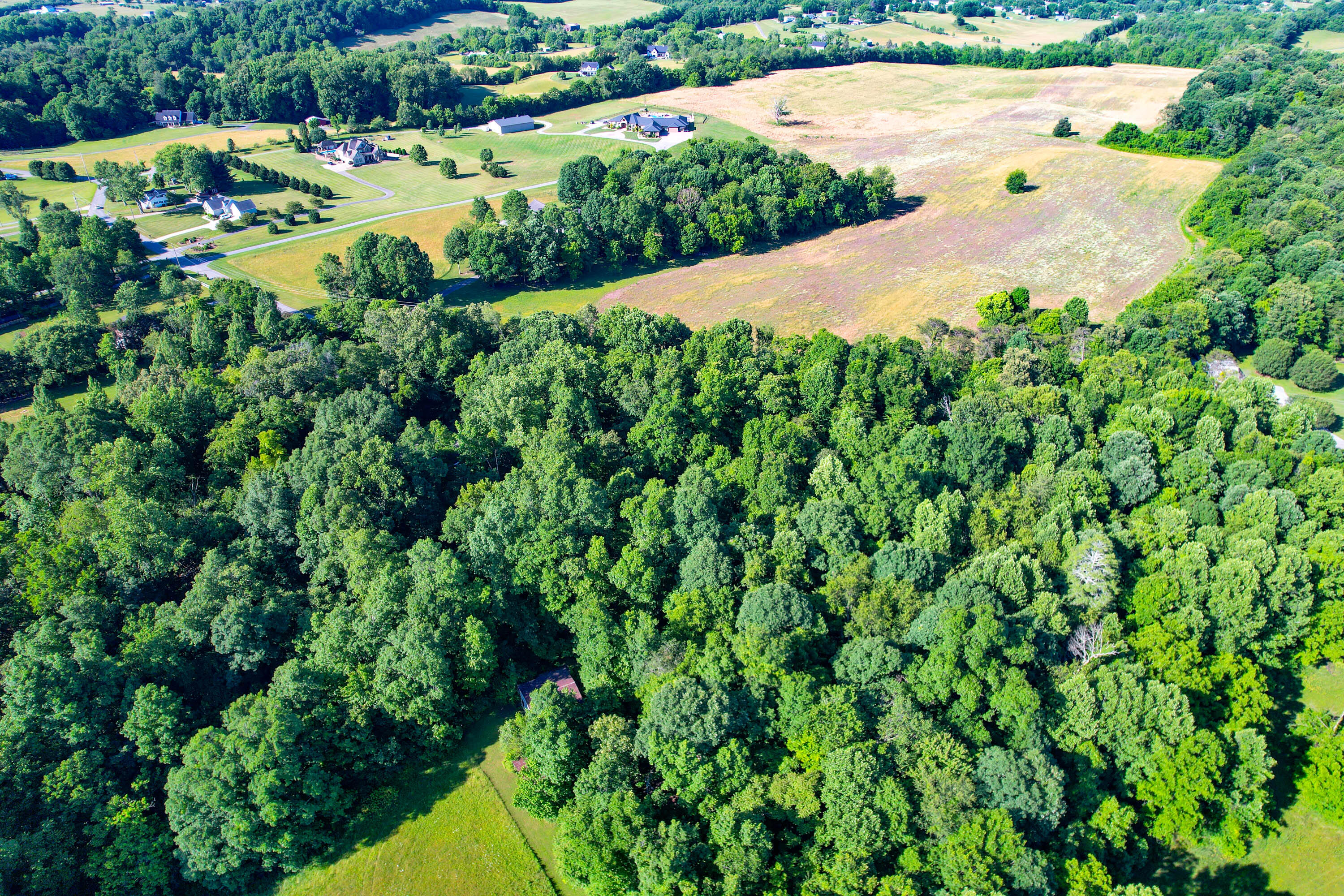 1373 Old Shiloh Road Greeneville, TN 37745 - Photo 78 of 86 Drone-6