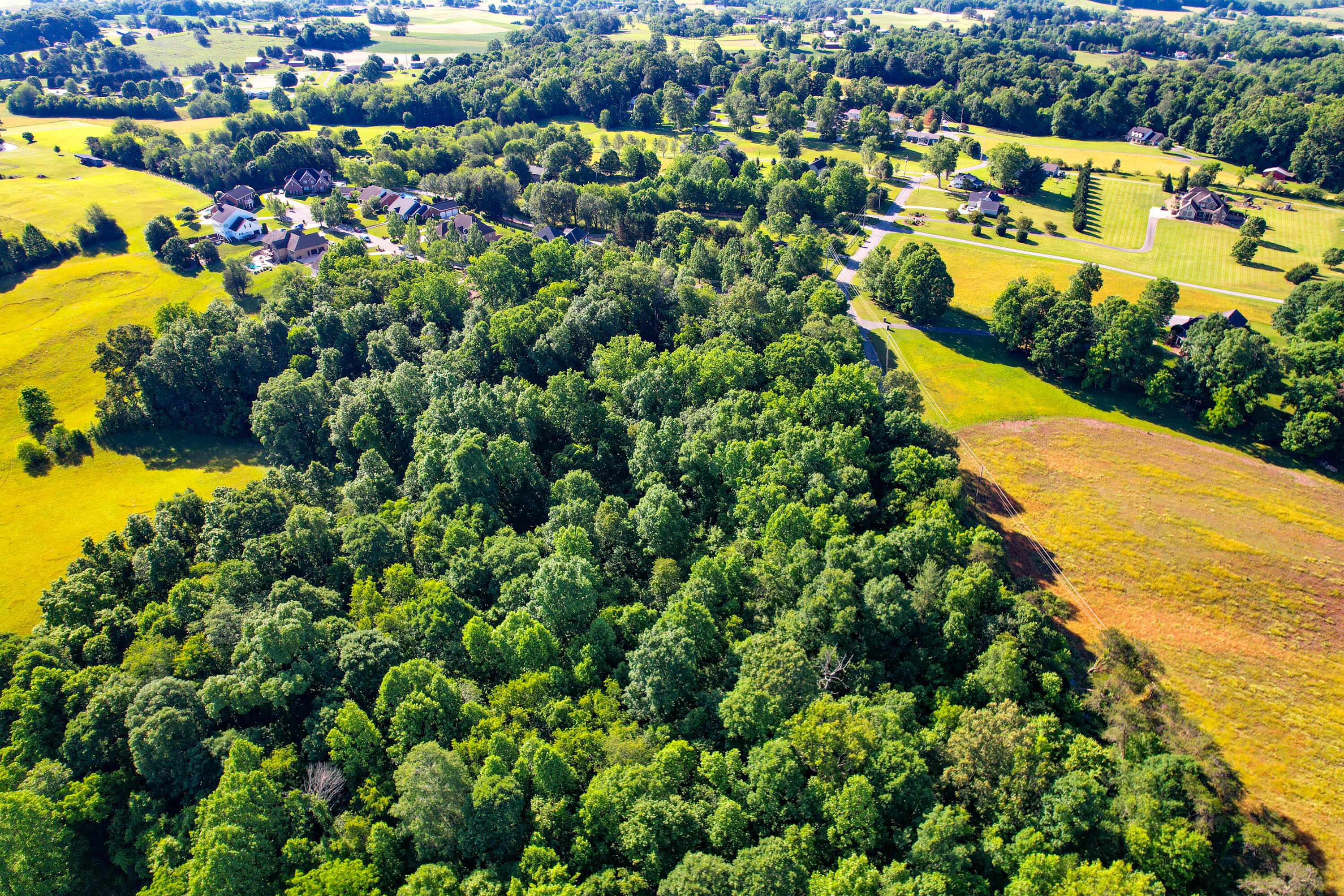 1373 Old Shiloh Road Greeneville, TN 37745 - Photo 80 of 86 Drone-8