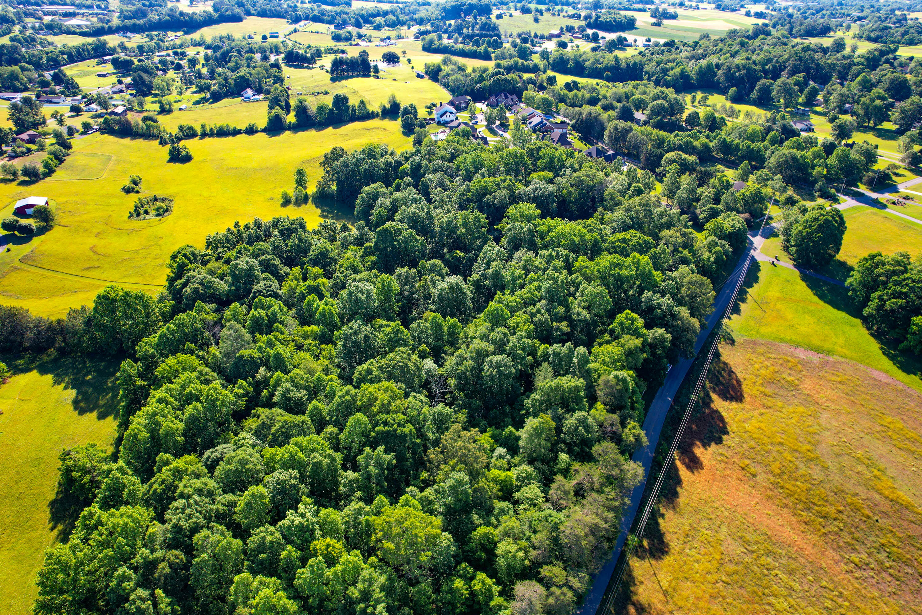 1373 Old Shiloh Road Greeneville, TN 37745 - Photo 81 of 86 Drone-9