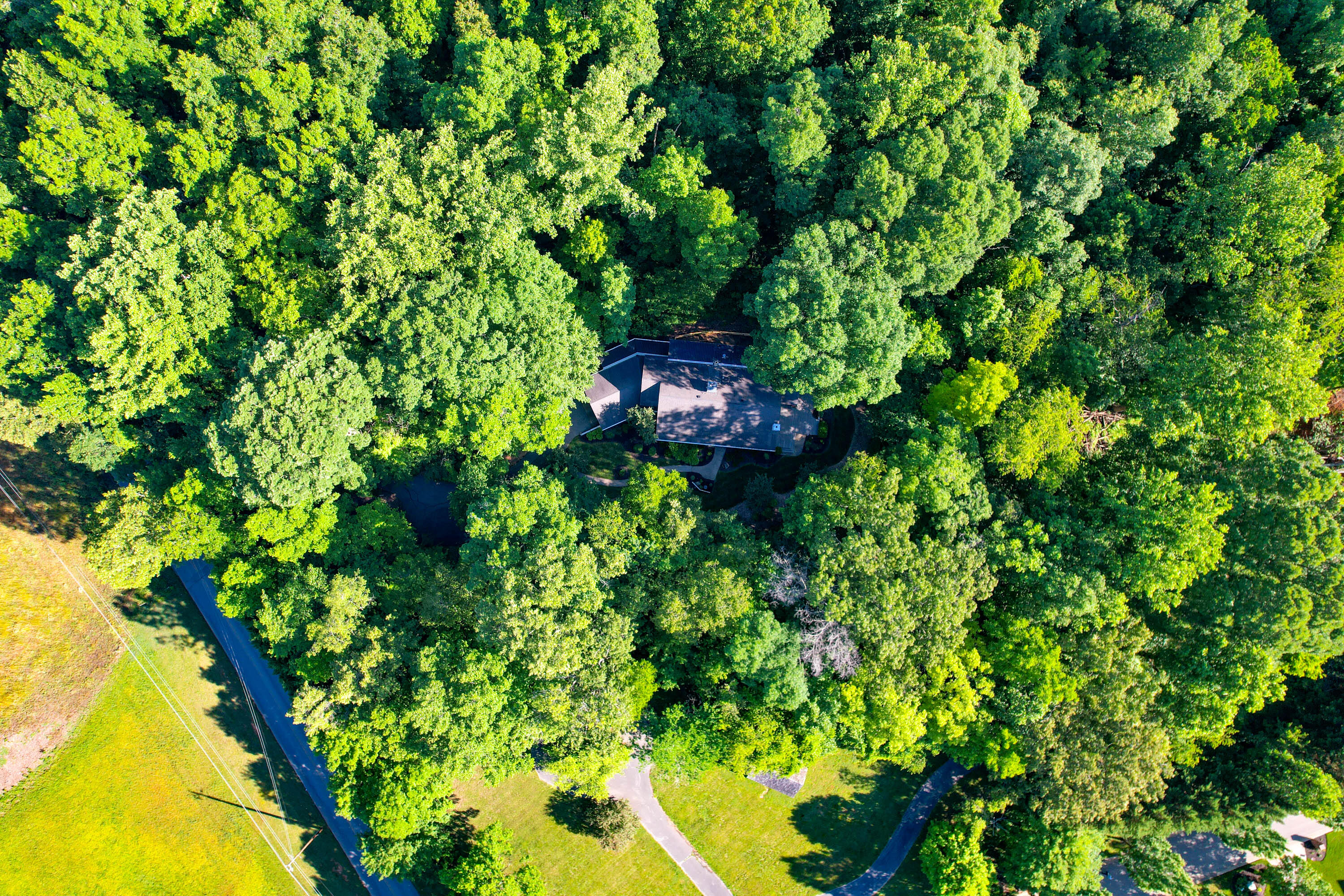 1373 Old Shiloh Road Greeneville, TN 37745 - Photo 85 of 86 Drone-13
