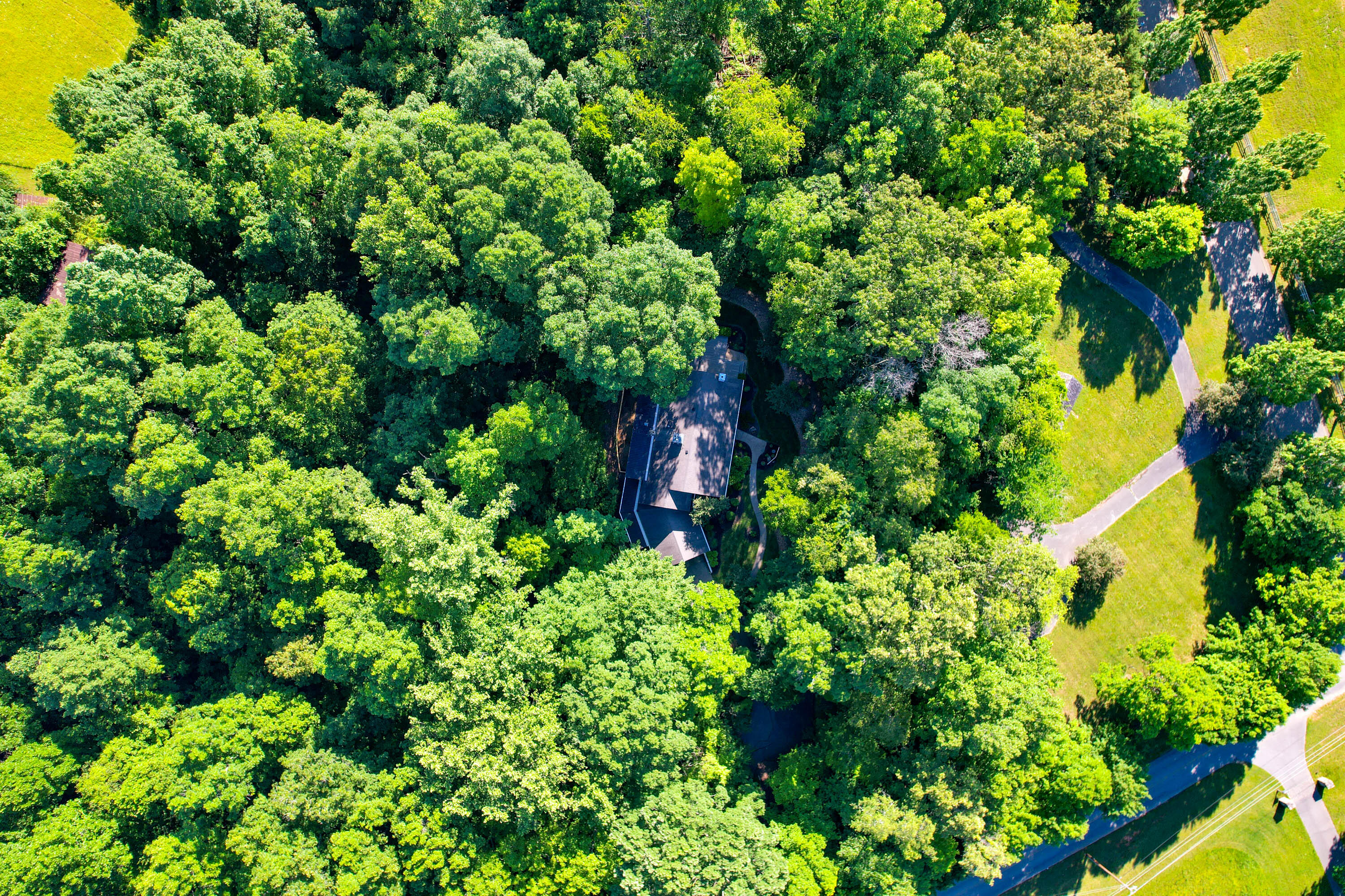 1373 Old Shiloh Road Greeneville, TN 37745 - Photo 86 of 86 Drone-14