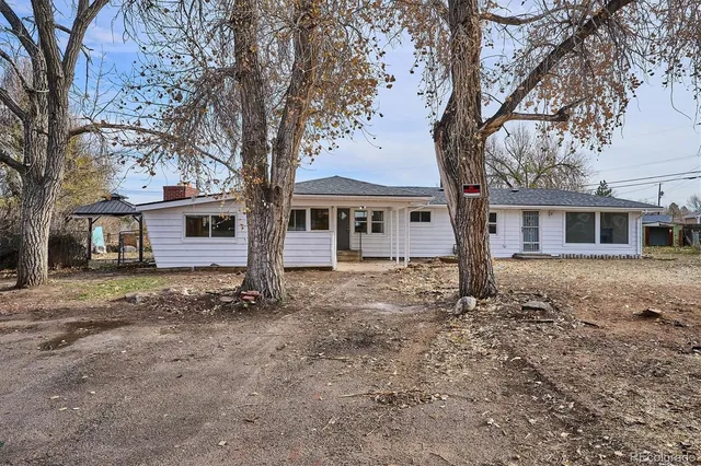 a tree in front of a white house