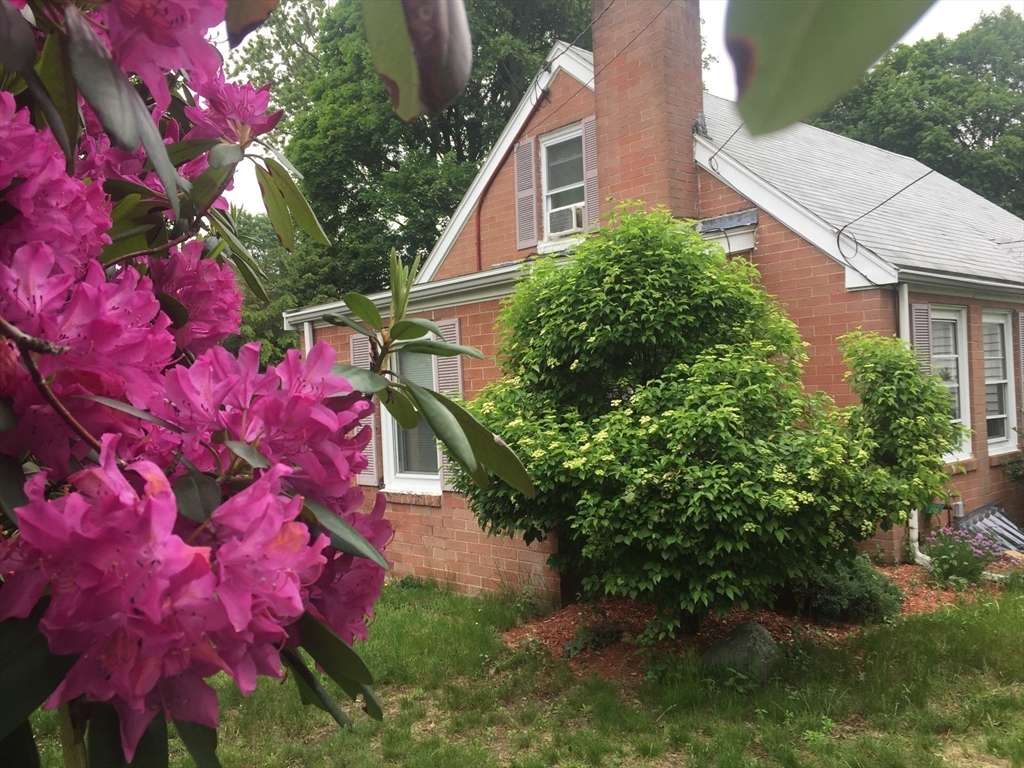 126 Russell Road Newton, MA 02465 - Photo 13 of 27 a view of a house with a yard and garden