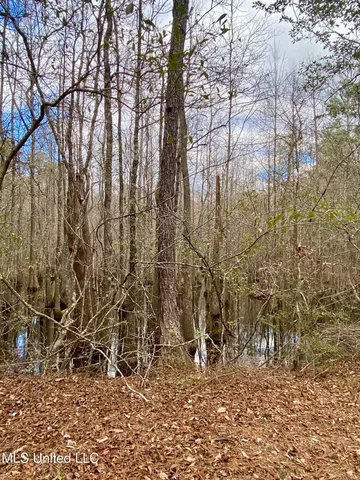 $360,000 | North Benville Road, Picayune, MS 39466