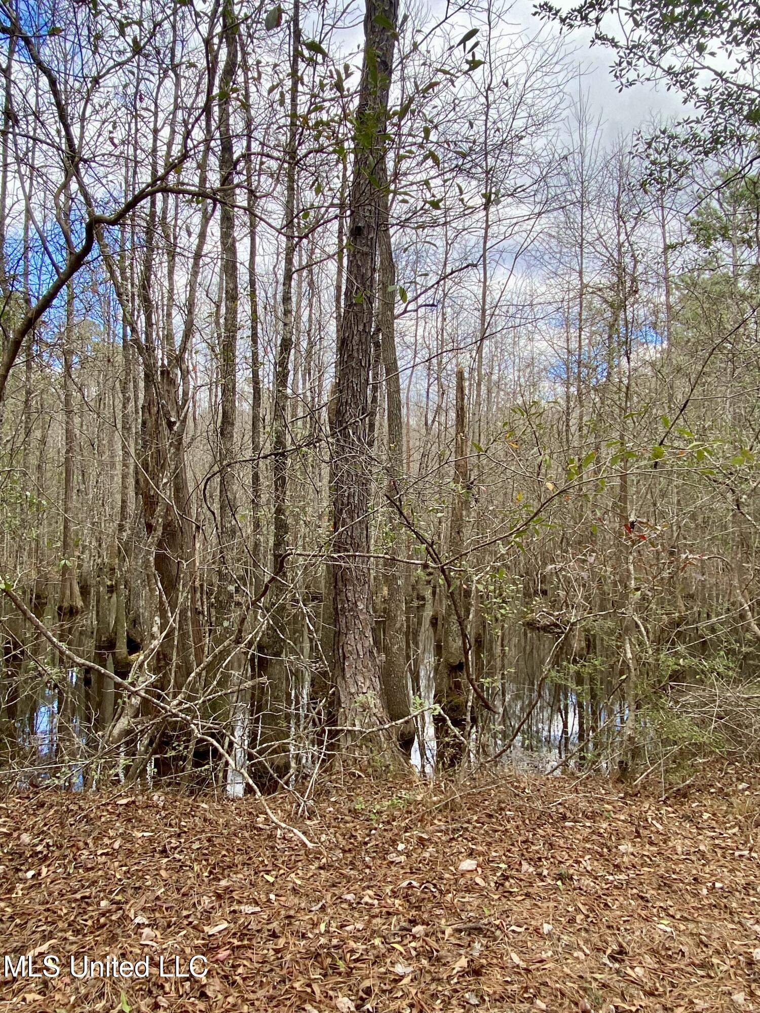 North Benville Road Picayune, MS 39466 - Photo 11 of 25 11, IMG_8228