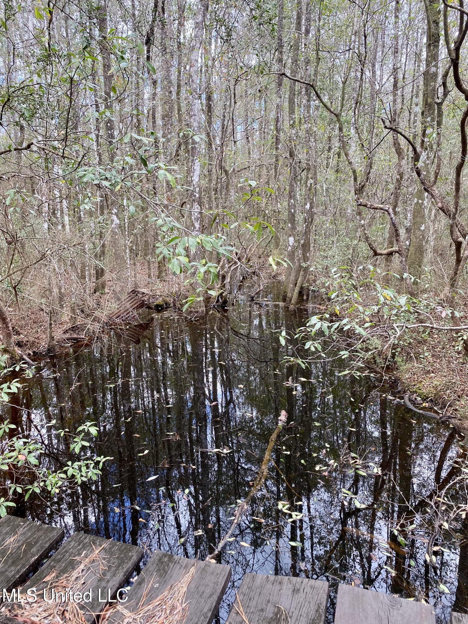 North Benville Road Picayune, MS 39466 - Photo 12 of 25 12, IMG_8230