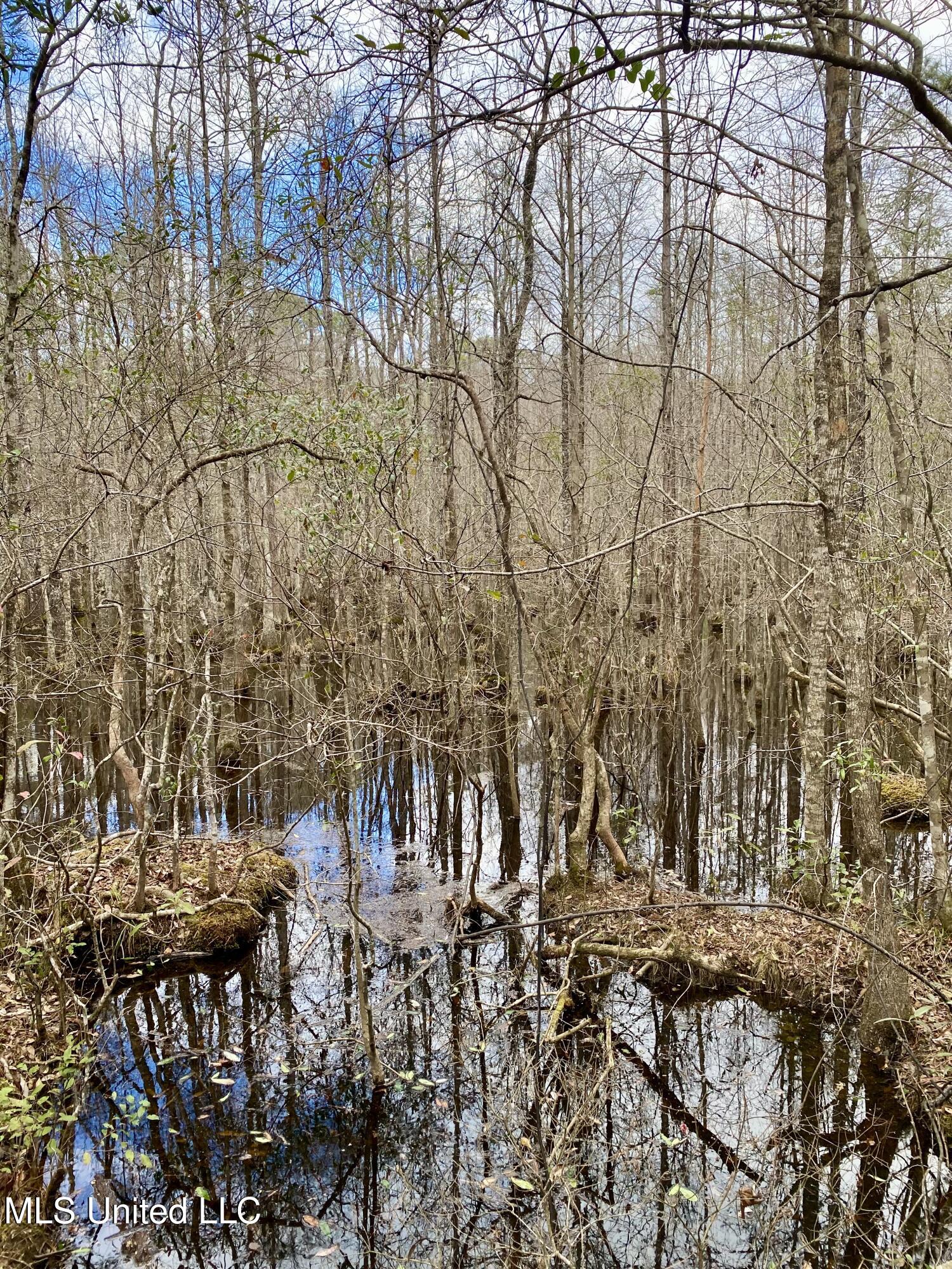 North Benville Road Picayune, MS 39466 - Photo 13 of 25 13, IMG_8229