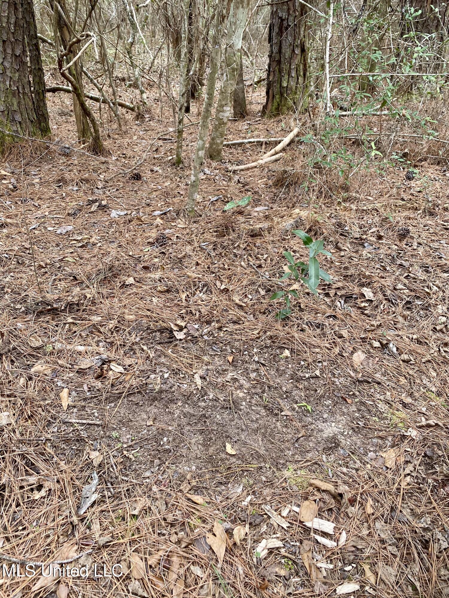 North Benville Road Picayune, MS 39466 - Photo 15 of 25 15, IMG_8232