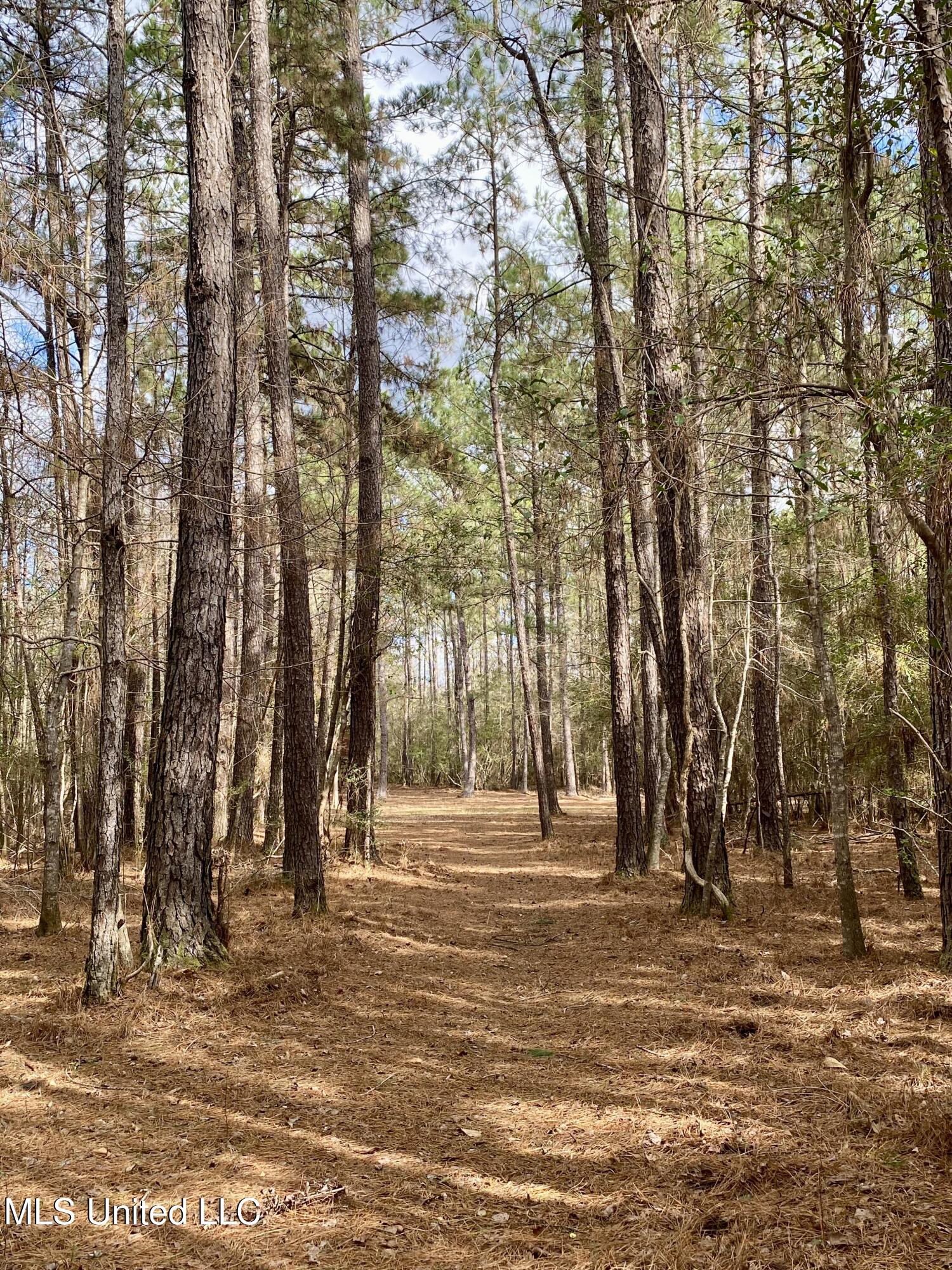 North Benville Road Picayune, MS 39466 - Photo 17 of 25 17, IMG_8236