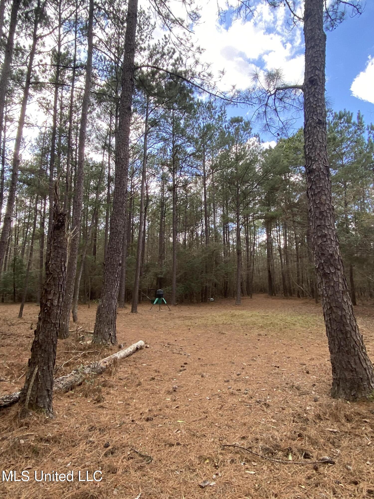 North Benville Road Picayune, MS 39466 - Photo 18 of 25 18, IMG_8234