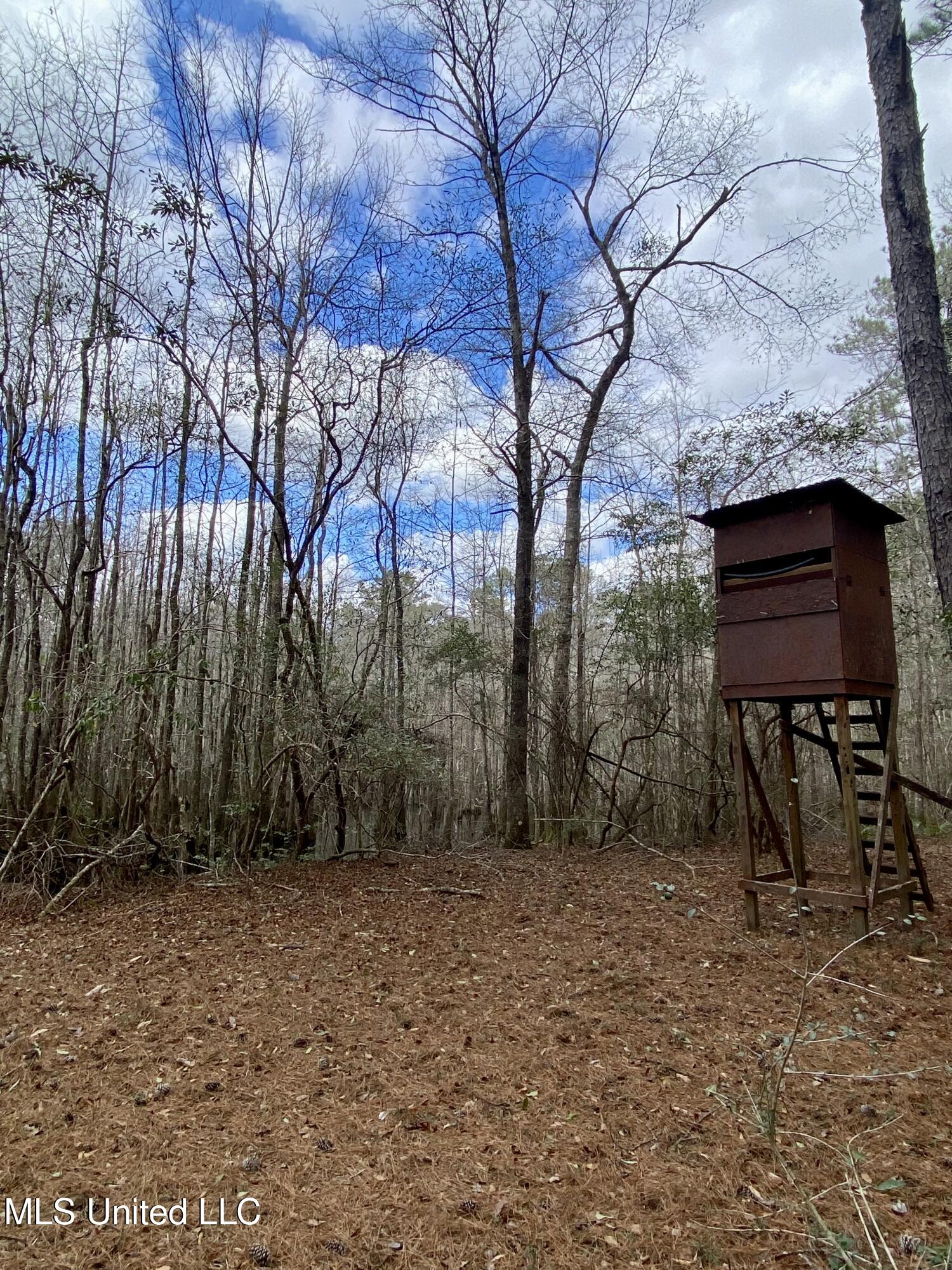North Benville Road Picayune, MS 39466 - Photo 19 of 25 19, IMG_8235