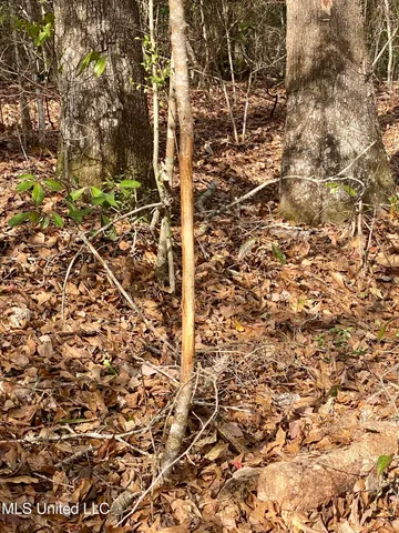 $360,000 | North Benville Road, Picayune, MS 39466