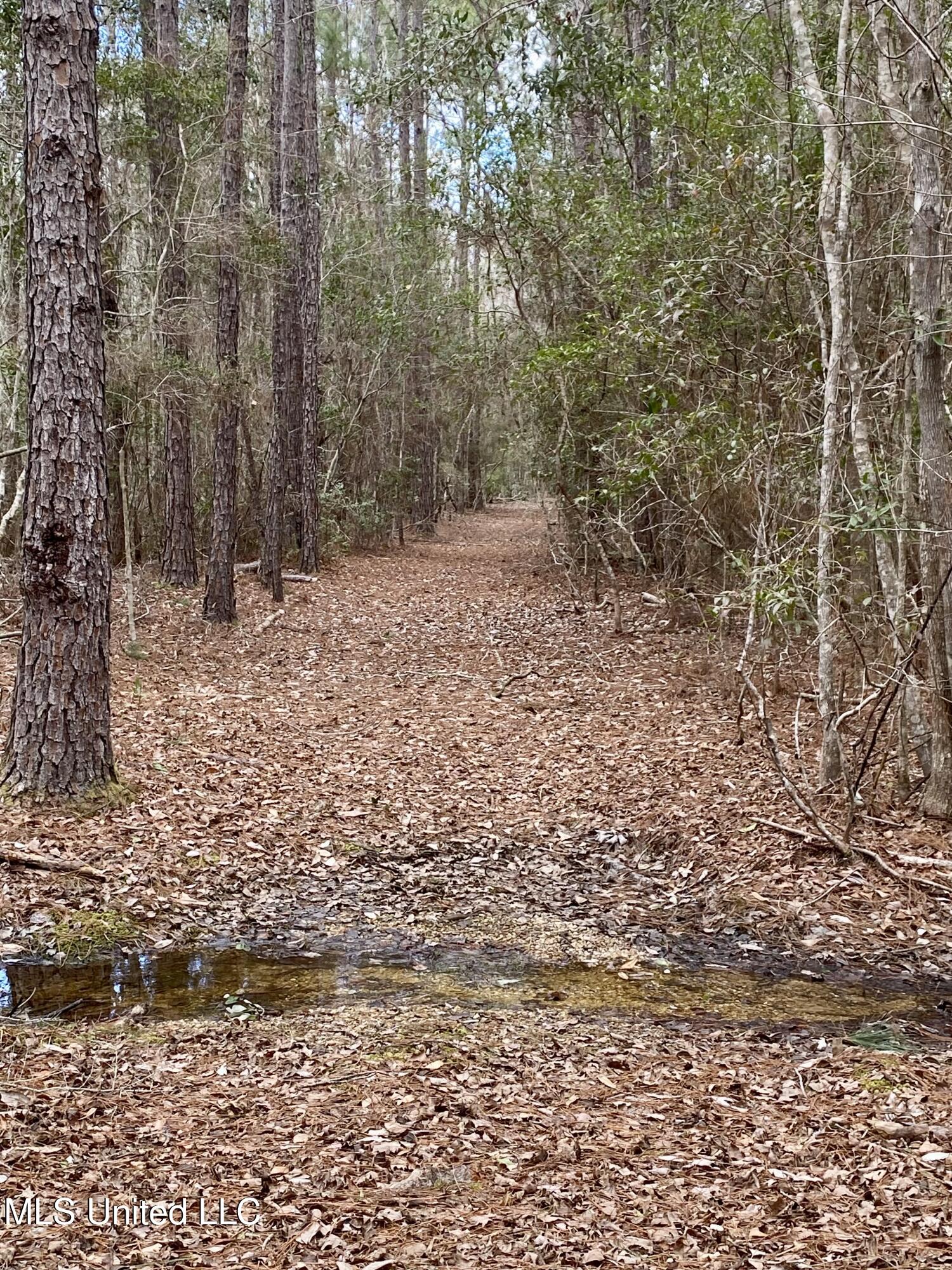 North Benville Road Picayune, MS 39466 - Photo 22 of 25 22, IMG_8227