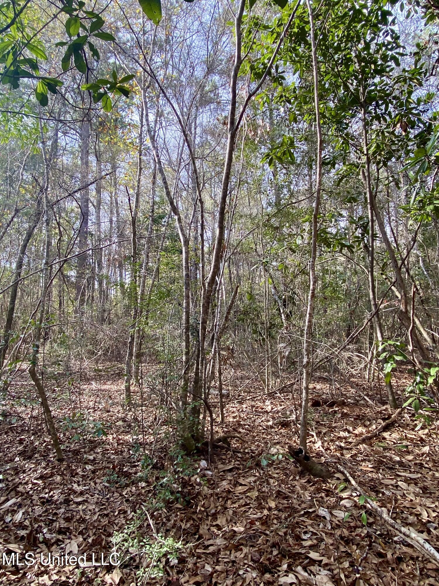 North Benville Road Picayune, MS 39466 - Photo 23 of 25 23, IMG_8247