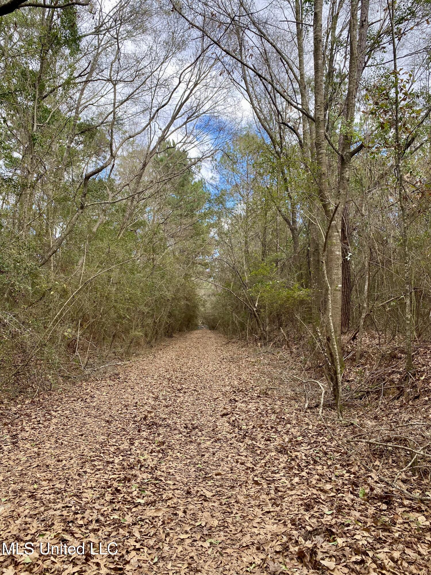 North Benville Road Picayune, MS 39466 - Photo 24 of 25 24, IMG_8224