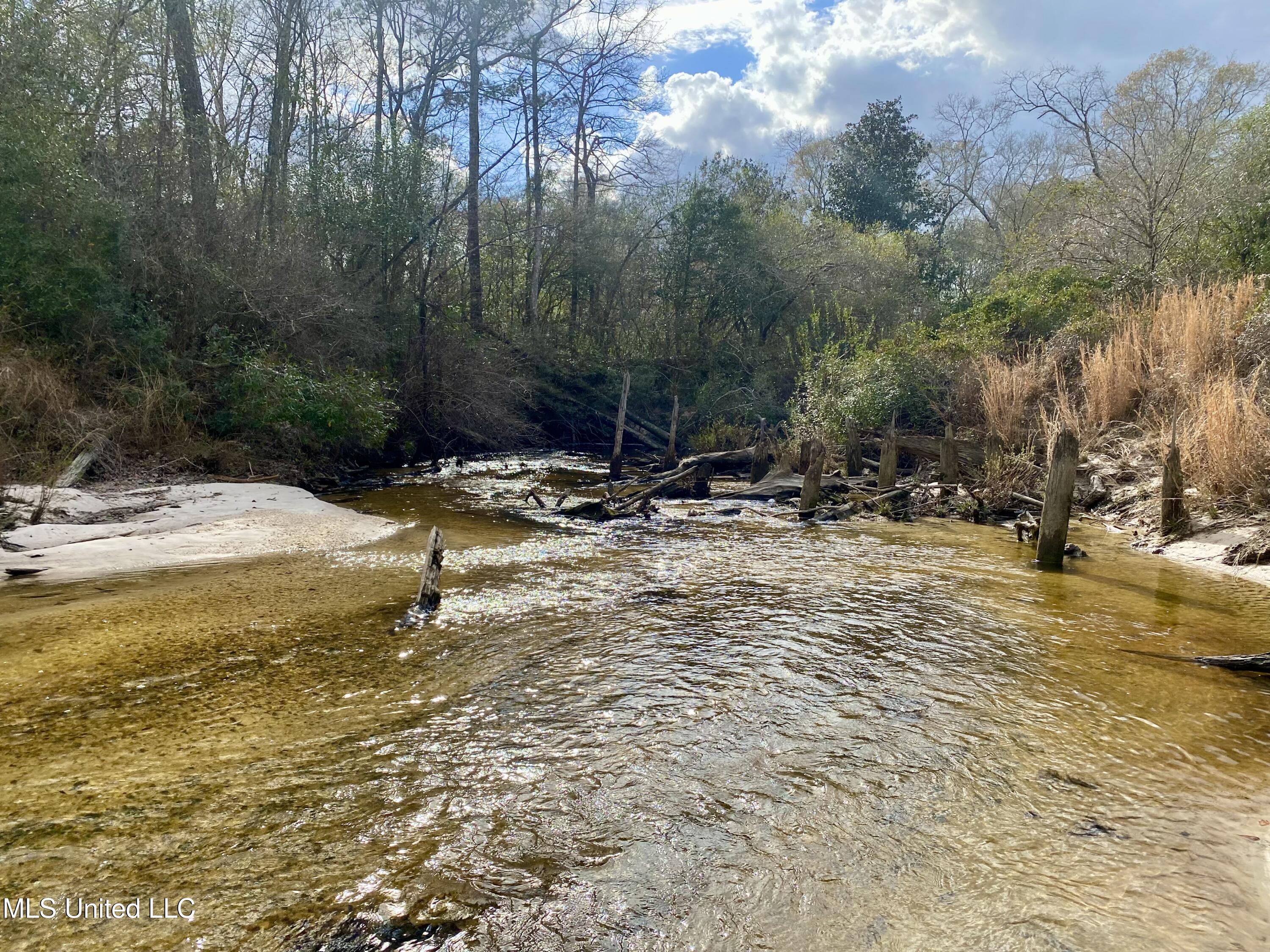 North Benville Road Picayune, MS 39466 - Photo 3 of 25 3, IMG_8244