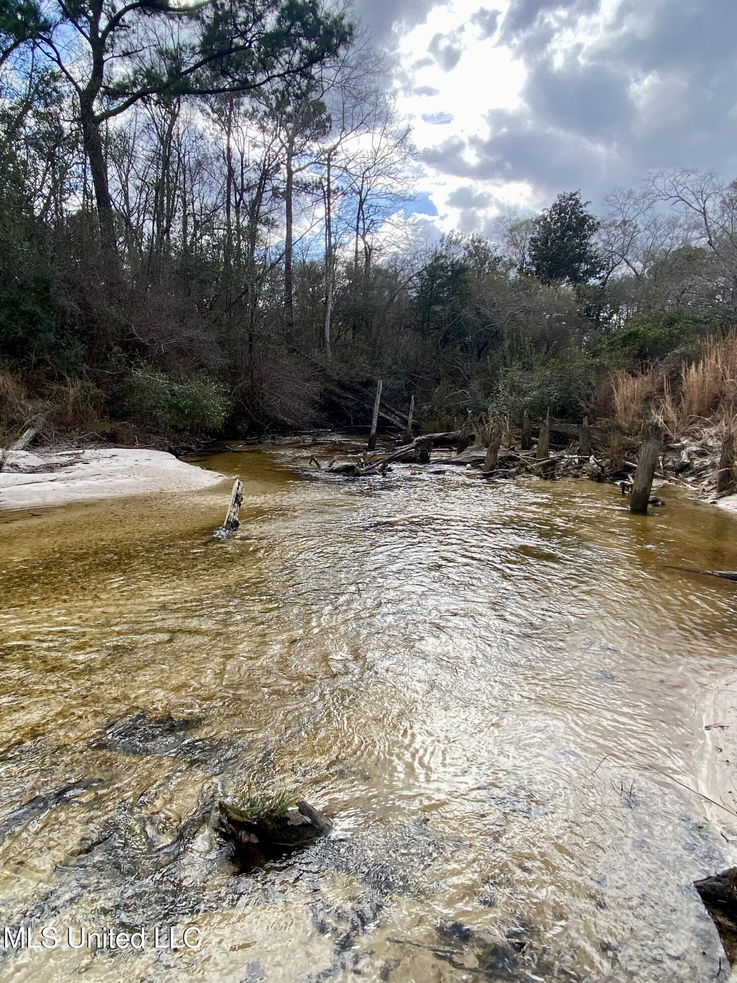 North Benville Road Picayune, MS 39466 - Photo 5 of 25 5, IMG_8240