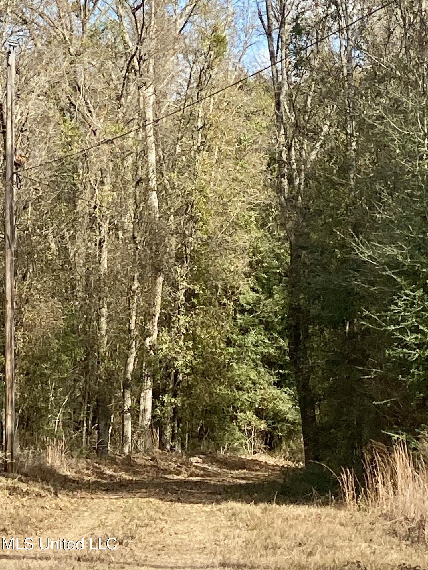 North Benville Road Picayune, MS 39466 - Photo 8 of 25 8, IMG_8223