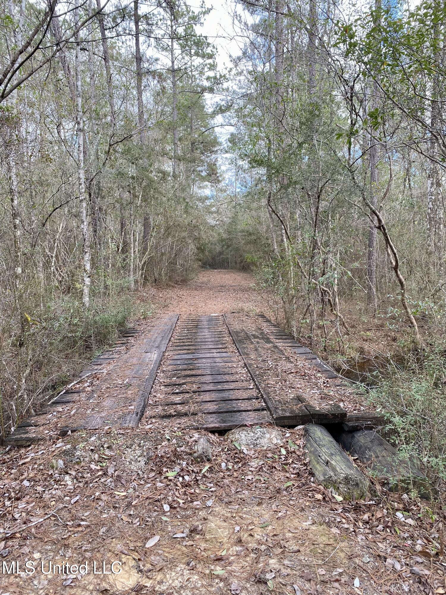North Benville Road Picayune, MS 39466 - Photo 9 of 25 9, IMG_8237