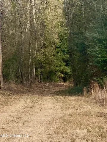 $360,000 | North Benville Road, Picayune, MS 39466