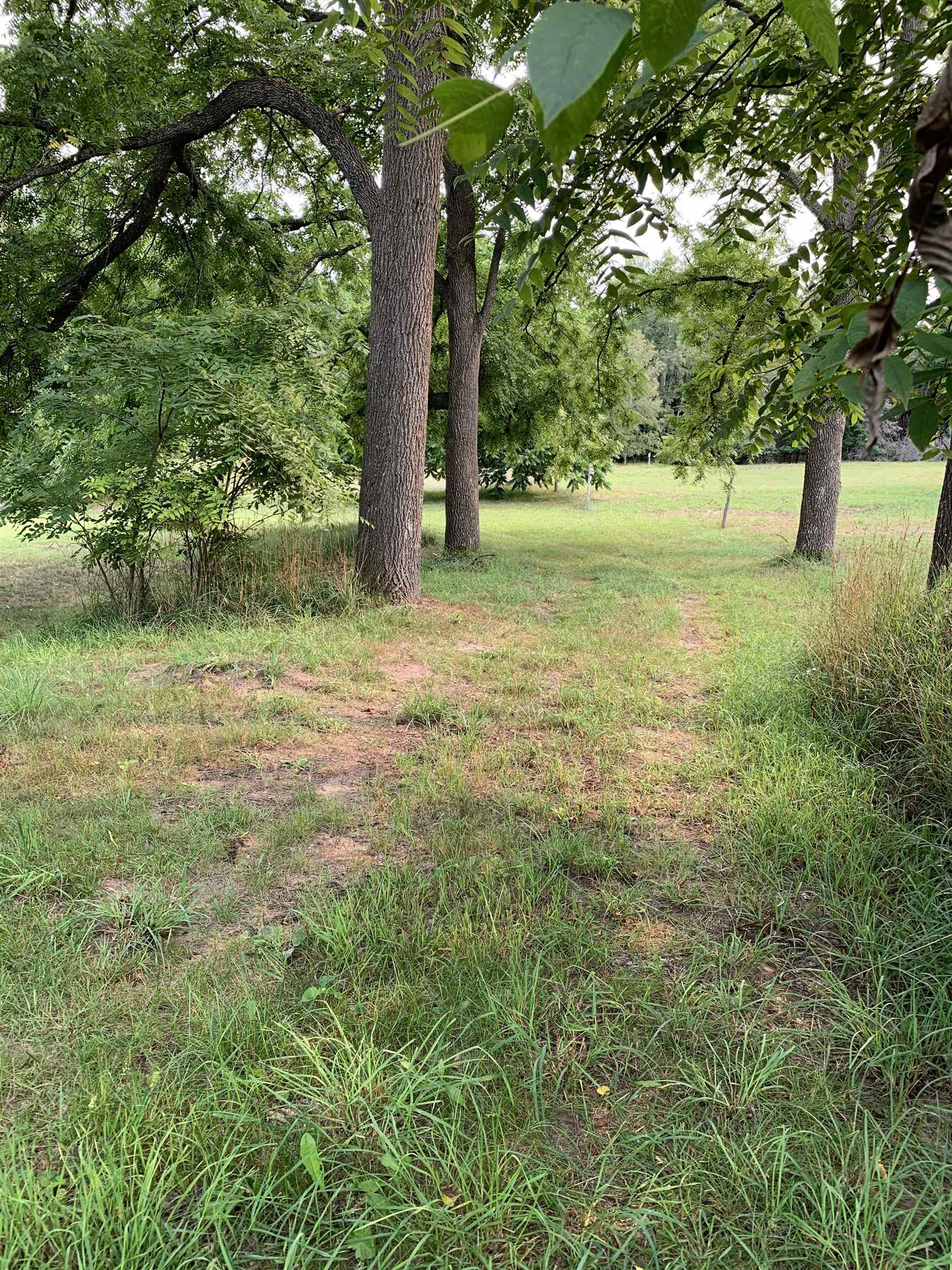 2391 East Kasben Road Cedar, MI 49621 - Photo 38 of 39