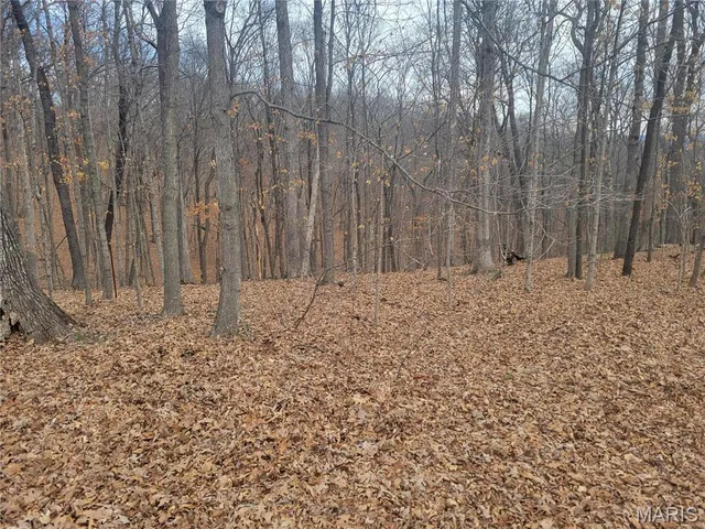 $43,900 | 437 Big River View, Eureka, MO 63025