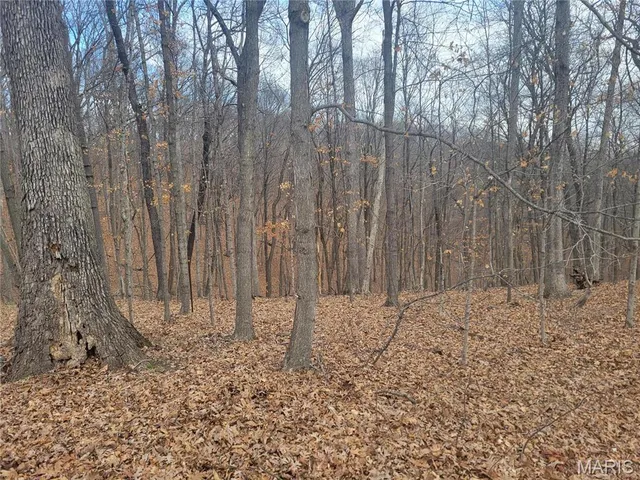 $43,900 | 437 Big River View, Eureka, MO 63025